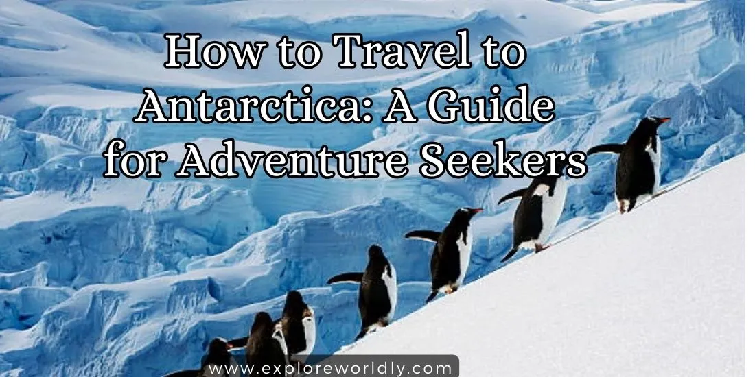 How to Travel to Antarctica: A Comprehensive Guide for Adventure Seekers