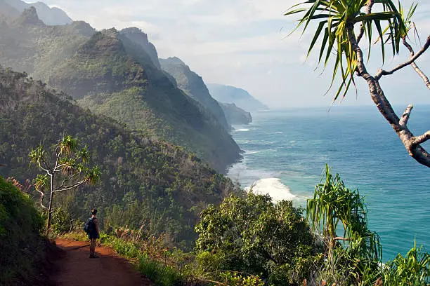 Hiking Adventures in Kauai