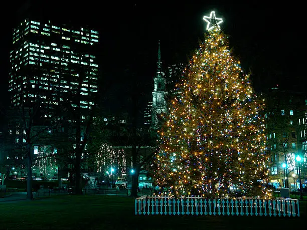 Boston Common Tree Lighting