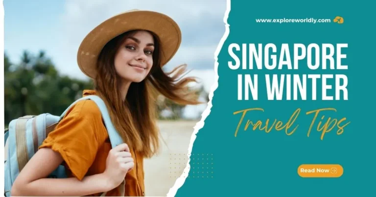 Singapore in Winter Travel Tips – Weather, Activities & More