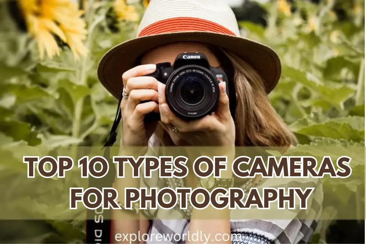 Cameras for Photography