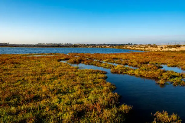  Bolsa Chica Ecological Reserve